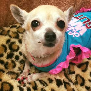 Fundraising Page: Denise Williams